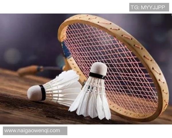 武汉羽毛球队战术解析与比赛策略探讨助力羽毛球竞技水平提升