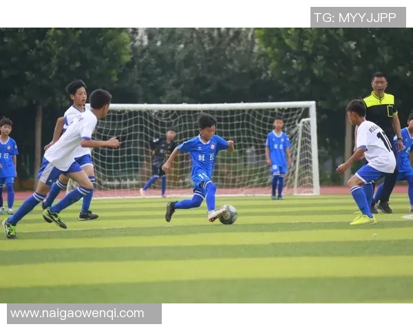 足球明星11号的传奇足迹与他们的辉煌成就盘点