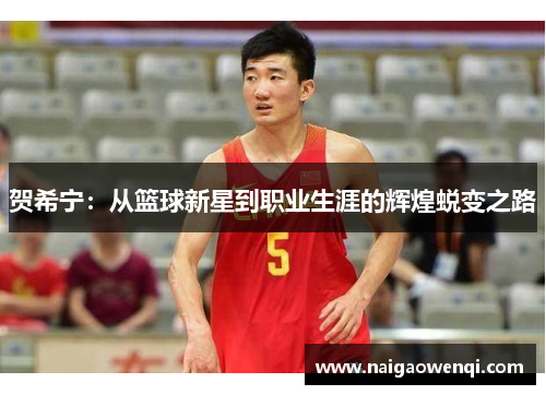 贺希宁：从篮球新星到职业生涯的辉煌蜕变之路